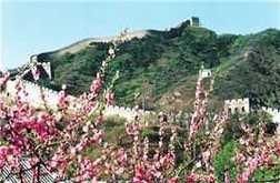 縣景合一 縣景合一