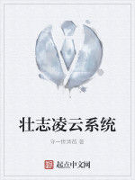 壯志凌雲系統 壯志凌雲系統