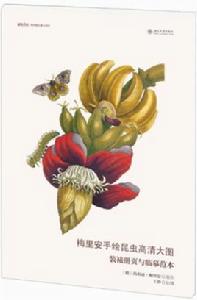 梅里安手繪昆蟲高清大圖:裝裱冊頁與臨摹範本 梅里安手繪昆蟲高清大圖:裝裱冊頁與臨摹範本