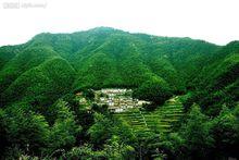 星光村[安徽省黃山市黟縣宏村鎮星光村]