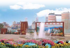 河南孟電集團 河南孟電集團