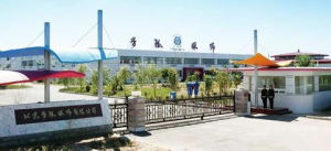 夢狐服飾 夢狐服飾