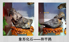 象形石