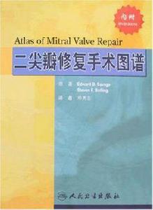 二尖瓣修復手術圖譜 二尖瓣修復手術圖譜