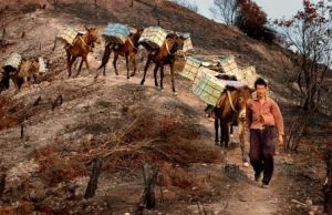 迤薩馬幫 迤薩馬幫