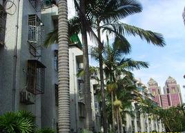 長福花園 長福花園