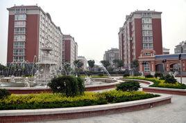 泰山名郡 泰山名郡