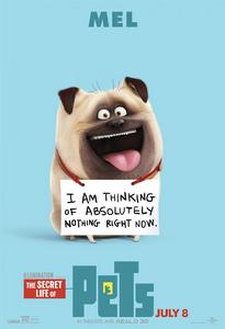 寵物的秘密生活[美國電影]