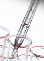 直接膽紅素 直接膽紅素