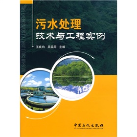 污水處理技術與工程實例