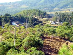 東山坡村 東山坡村