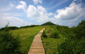 北京百花山自然風景區 北京百花山自然風景區