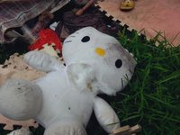 HelloKitty藏屍案