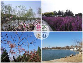 天津氣候 天津氣候