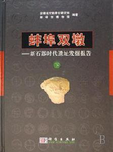 蚌埠雙墩:新石器時代遺址發掘報告 蚌埠雙墩:新石器時代遺址發掘報告