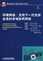 《環境網路：支持下一代無線業務的多域協同網路》