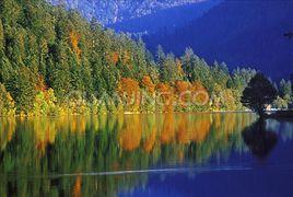 孚日山脈 孚日山脈