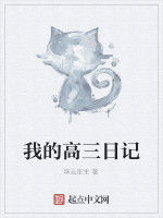 我的高三日記