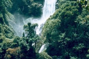 屏邊大圍山原始森林公園 屏邊大圍山原始森林公園