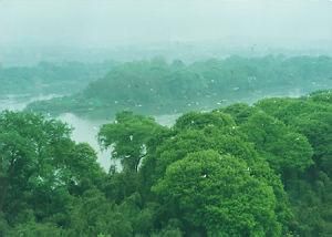 湖南江口鳥洲保護區 湖南江口鳥洲保護區