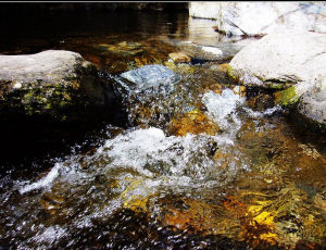 黃花河[陝西省黃花河景區]