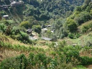 金索朗村 金索朗村