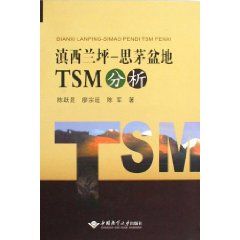 《滇西蘭坪-思茅盆地TSM分析》