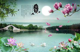 鷓鴣天·賞荷 鷓鴣天·賞荷