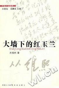 大牆下的紅玉蘭 大牆下的紅玉蘭