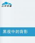 黑夜中的背影 黑夜中的背影