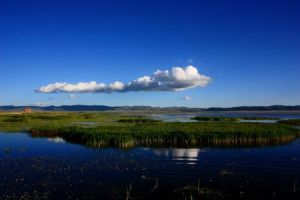 尕海－則岔國家級自然保護區