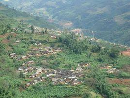 街道社區[雲南省保山施甸縣甸陽鎮街道社區居委會]