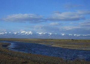 哈拉湖濕地 哈拉湖濕地