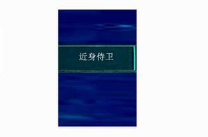 近身侍衛 近身侍衛