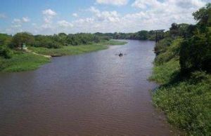 皮科馬約河 皮科馬約河