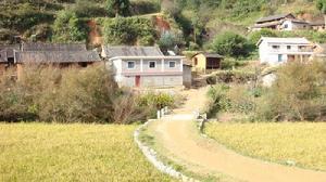 村道路與民居
