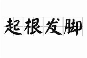 起根髮腳 起根髮腳
