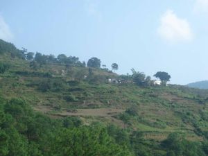 神舟上村 神舟上村