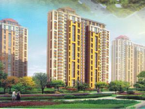 鼎盛國際 鼎盛國際