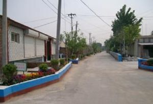 辛莊營村 辛莊營村