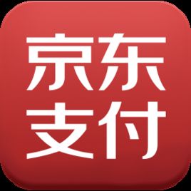 京東支付 京東支付