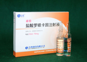 鹽酸羅哌卡因 鹽酸羅哌卡因