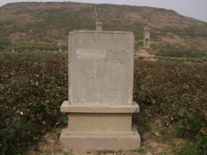 漢元帝渭陵位於鹹陽市渭城區周陵鎮新莊村東南