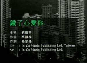 鐵了心的愛你