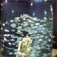 台北海洋生活館