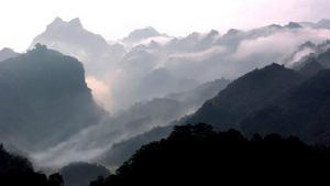 廣西岑王老山國家級自然保護區