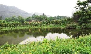 四川塘村 四川塘村