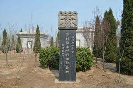 蘇村戰役 蘇村戰役