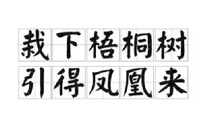 栽下梧桐樹引得鳳凰來 栽下梧桐樹引得鳳凰來