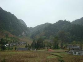 乾河村[雲南曲靖市會澤縣迤車鎮下轄村]